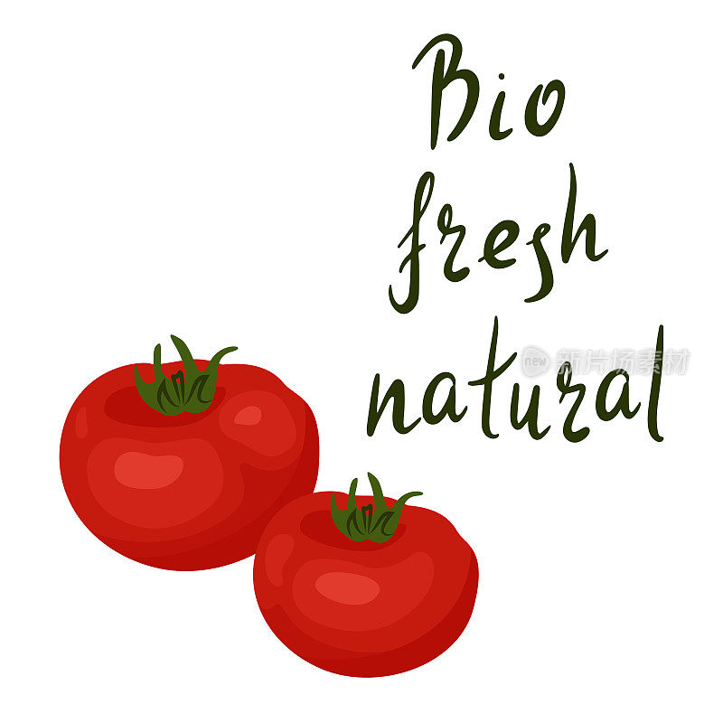 励志名言:Bio, fresh, natural。健康食品。手写字母动机插图为您的设计与红色蔬菜番茄